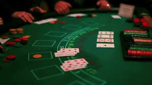 wildbet